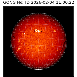 gong - 2026-02-04T11:00:22