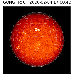 gong - 2026-02-04T17:00:42