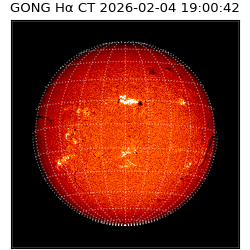 gong - 2026-02-04T19:00:42