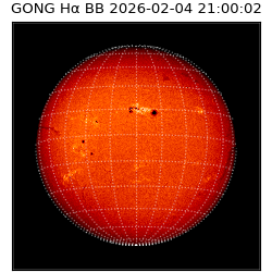 gong - 2026-02-04T21:00:02