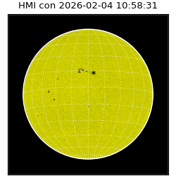 shmi - 2026-02-04T10:58:31