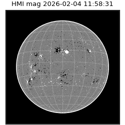 shmi - 2026-02-04T11:58:31