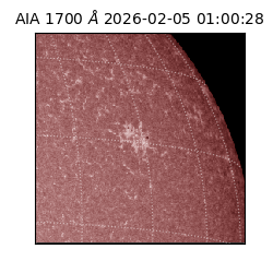 saia - 2026-02-05T01:00:28.721000