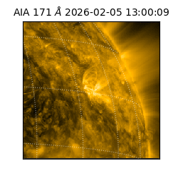 saia - 2026-02-05T13:00:09.350000
