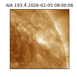 saia - 2026-02-05T08:00:06.800000