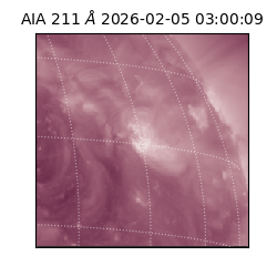 saia - 2026-02-05T03:00:09.640000