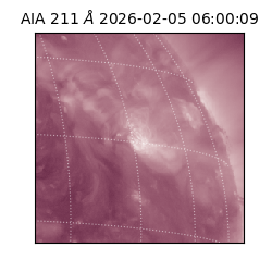 saia - 2026-02-05T06:00:09.626000