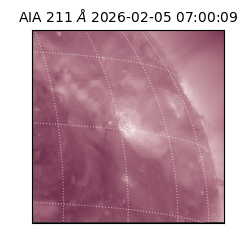 saia - 2026-02-05T07:00:09.626000