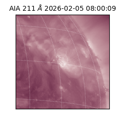 saia - 2026-02-05T08:00:09.619000