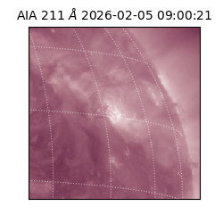 saia - 2026-02-05T09:00:21.630000