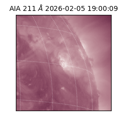 saia - 2026-02-05T19:00:09.626000