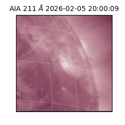 saia - 2026-02-05T20:00:09.634000