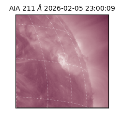 saia - 2026-02-05T23:00:09.632000