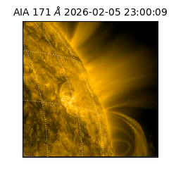 saia - 2026-02-05T23:00:09.350000