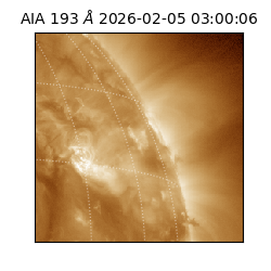 saia - 2026-02-05T03:00:06.810000