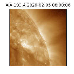 saia - 2026-02-05T08:00:06.800000