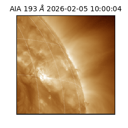 saia - 2026-02-05T10:00:04.842000