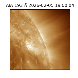 saia - 2026-02-05T19:00:04.843000