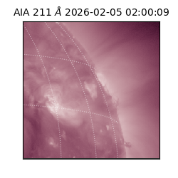 saia - 2026-02-05T02:00:09.631000