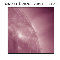 saia - 2026-02-05T09:00:21.630000