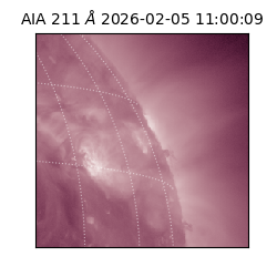 saia - 2026-02-05T11:00:09.631000