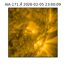saia - 2026-02-05T23:00:09.350000