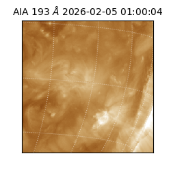 saia - 2026-02-05T01:00:04.835000