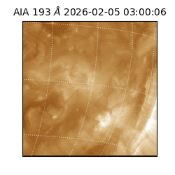 saia - 2026-02-05T03:00:06.810000