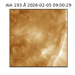 saia - 2026-02-05T09:00:29.619000