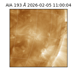 saia - 2026-02-05T11:00:04.843000