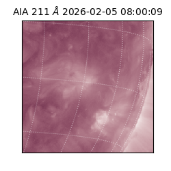 saia - 2026-02-05T08:00:09.619000