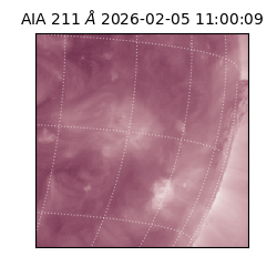 saia - 2026-02-05T11:00:09.631000