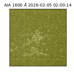 saia - 2026-02-05T02:00:14.130000