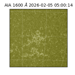 saia - 2026-02-05T05:00:14.118000