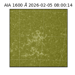 saia - 2026-02-05T08:00:14.125000