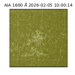 saia - 2026-02-05T10:00:14.125000