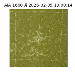 saia - 2026-02-05T13:00:14.130000