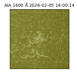 saia - 2026-02-05T14:00:14.118000