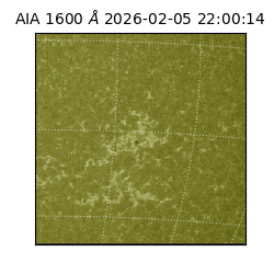 saia - 2026-02-05T22:00:14.126000