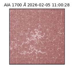 saia - 2026-02-05T11:00:28.710000