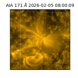 saia - 2026-02-05T08:00:09.341000