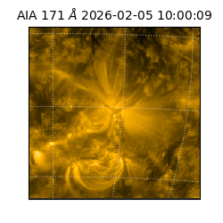 saia - 2026-02-05T10:00:09.350000