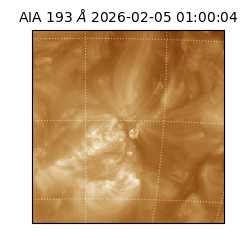 saia - 2026-02-05T01:00:04.835000