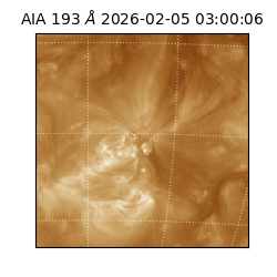 saia - 2026-02-05T03:00:06.810000