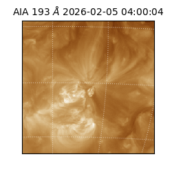 saia - 2026-02-05T04:00:04.843000