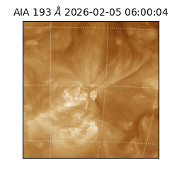 saia - 2026-02-05T06:00:04.843000