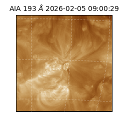 saia - 2026-02-05T09:00:29.619000