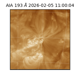 saia - 2026-02-05T11:00:04.843000