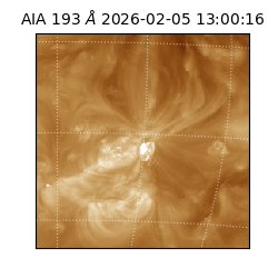 saia - 2026-02-05T13:00:16.843000