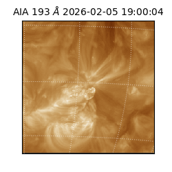 saia - 2026-02-05T19:00:04.843000